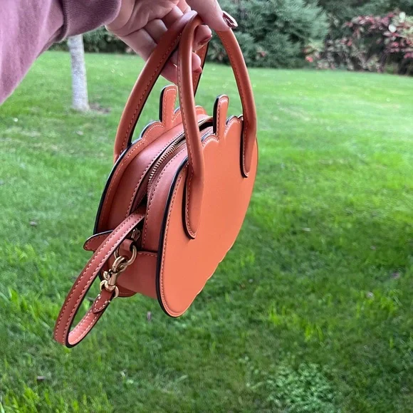 Viral coach pumpkin fall crossbody bag purse